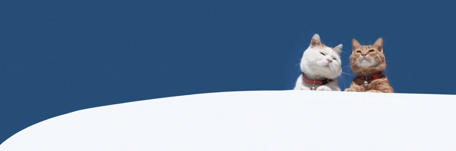 rdhtls's profile banner image