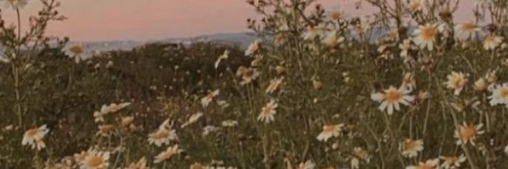 the1975sversion's profile banner image