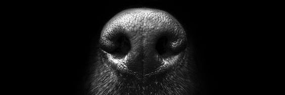 Chinz83's profile banner image