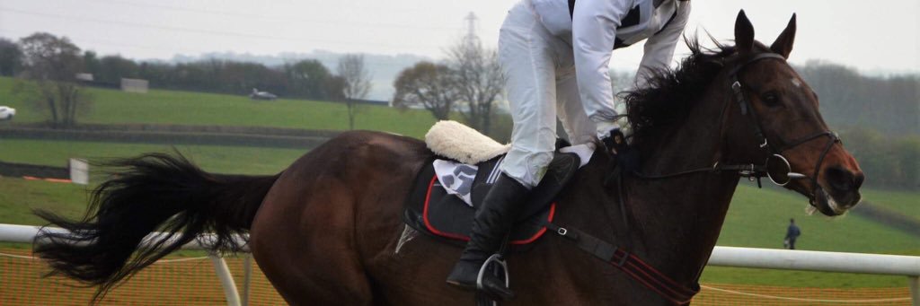 leviparry_x's profile banner image