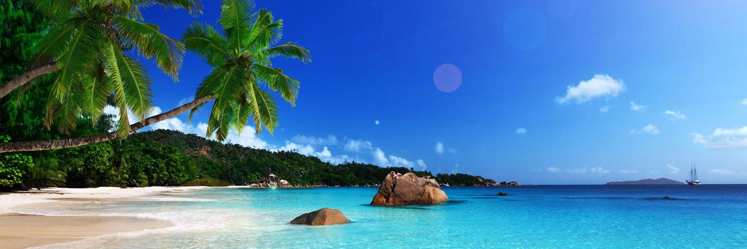 973Metissee's profile banner image