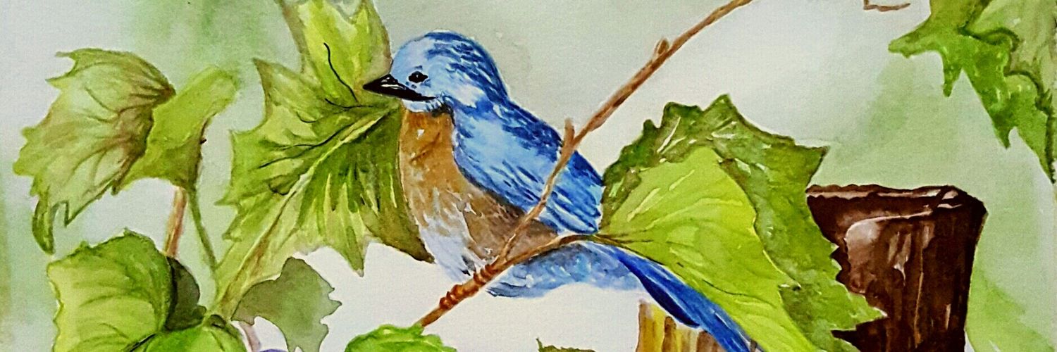 CisnerosAida's profile banner image