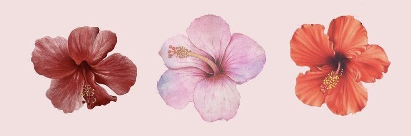 JadoreMaia's profile banner image