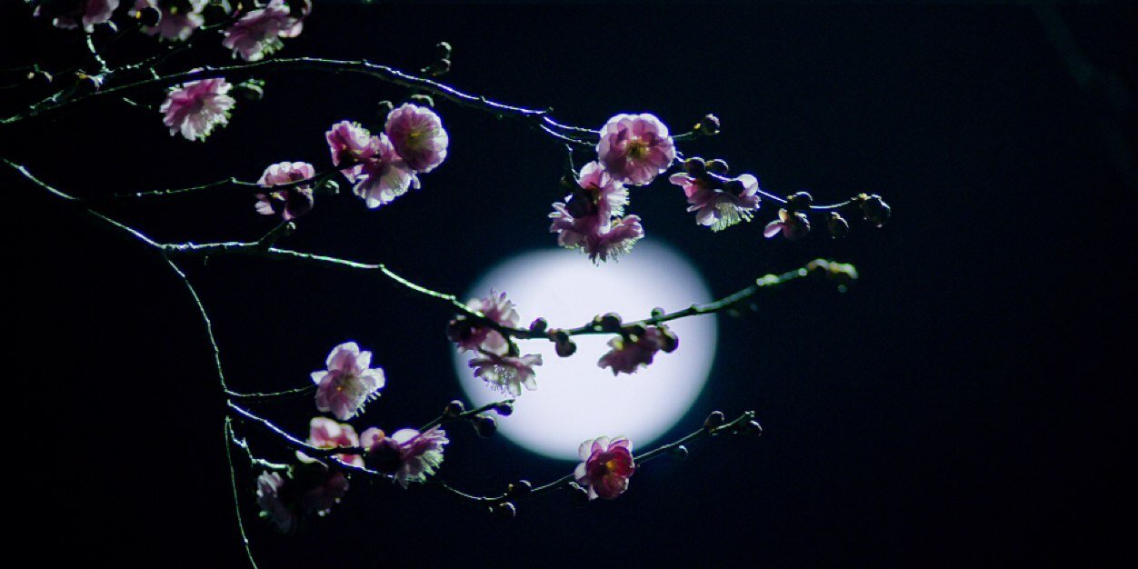 a_dreamyy's profile banner image