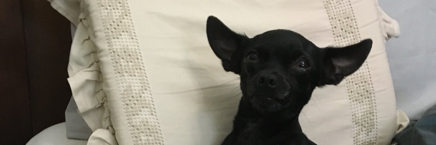 AnaIsabelSarav2's profile banner image