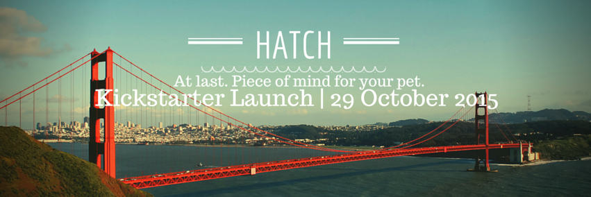 hatchforpets's profile banner image