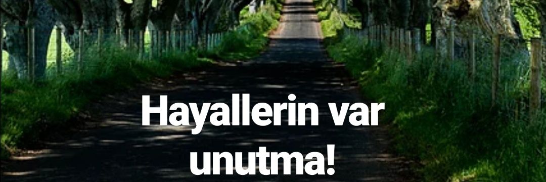 Emirocal's profile banner image