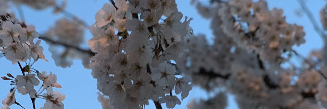 ItsSimplyBecca's profile banner image