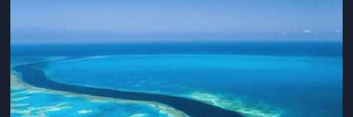 SankDudu's profile banner image