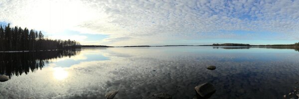 tilapit Profile Banner