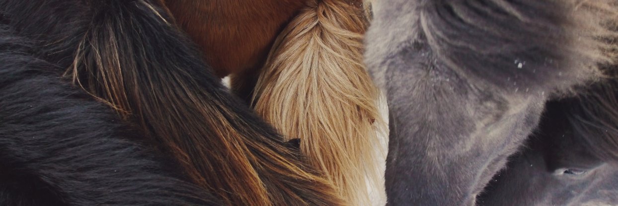 racheldrix's profile banner image