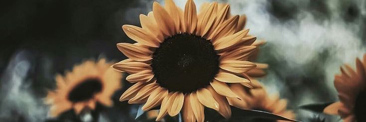 LCU_LOA's profile banner image