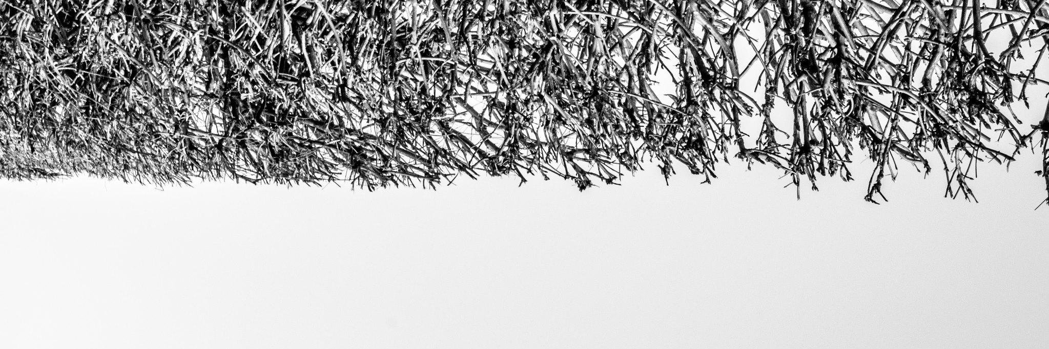 Simone Mariano banner