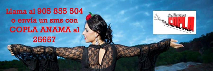 AnaBernalS's profile banner image