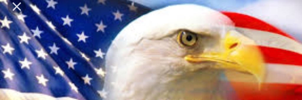 ReannaMichaels's profile banner image