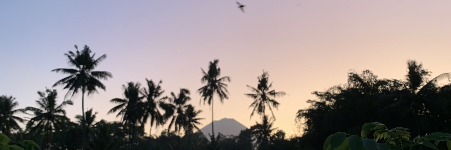 JuliaMalis's profile banner image