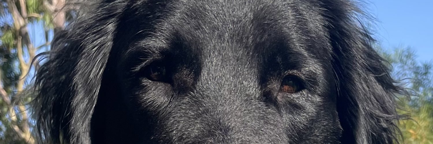 LesliesHotelCal's profile banner image