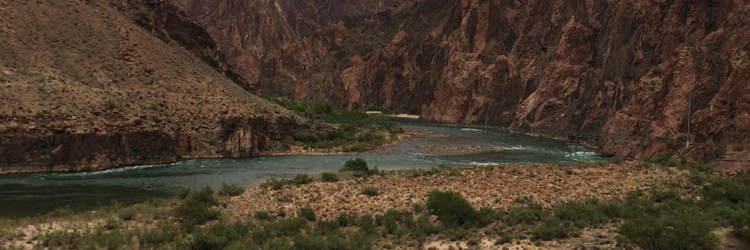 jennifer lopez 🌵 banner