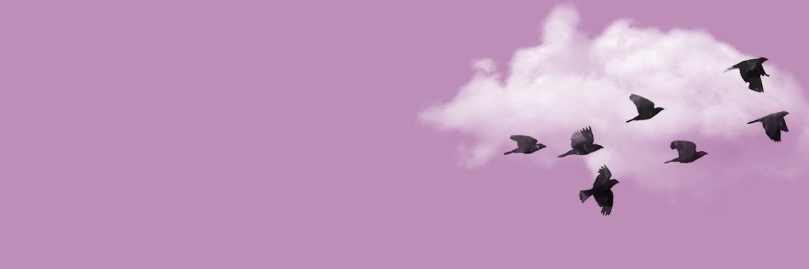 Tahane_sa's profile banner image
