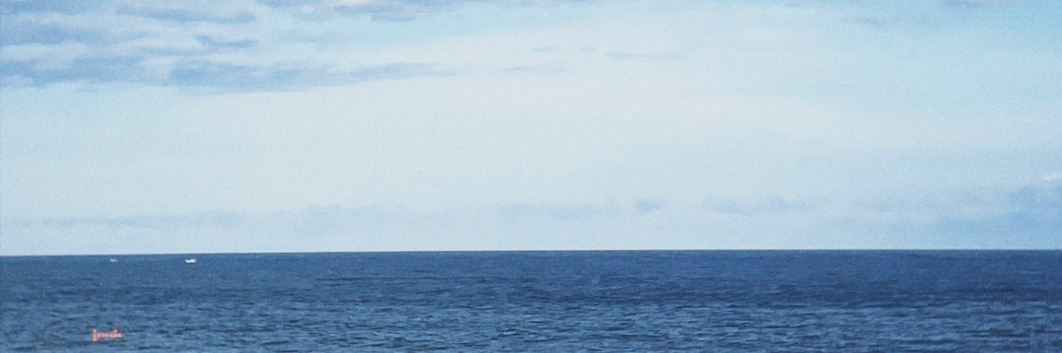 schwanedely's profile banner image
