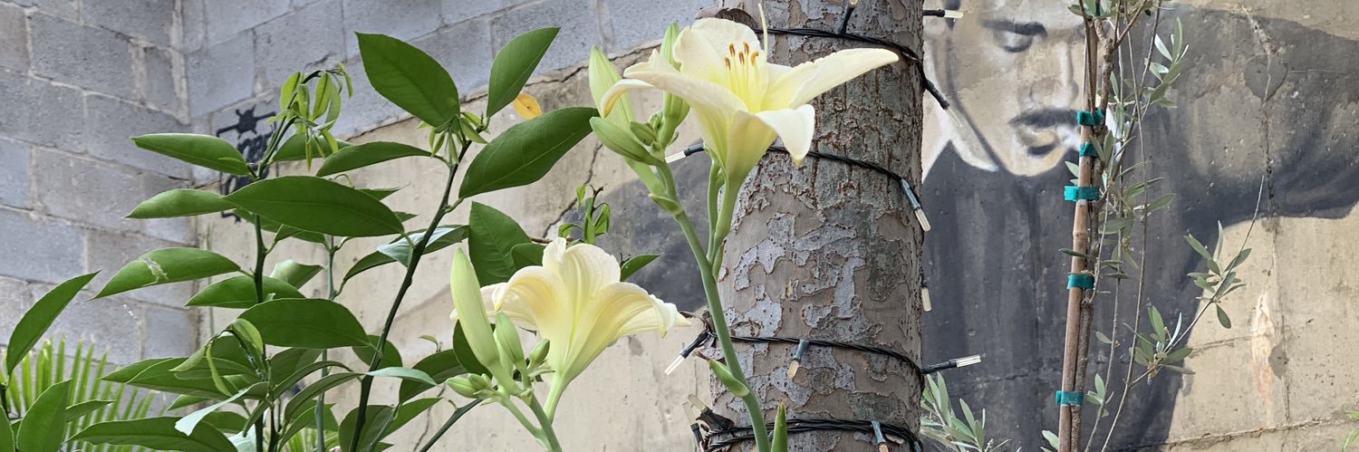 asintheflower's profile banner image