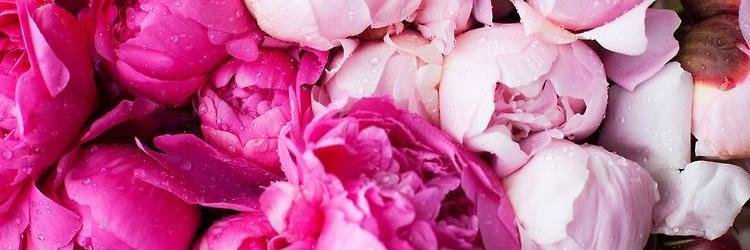 ThisGirlFancy's profile banner image