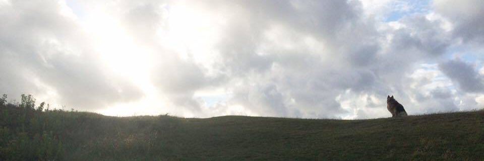 AmberWest98's profile banner image