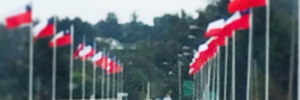 Eva Wicker 🇨🇱 banner