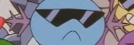 nik's banner