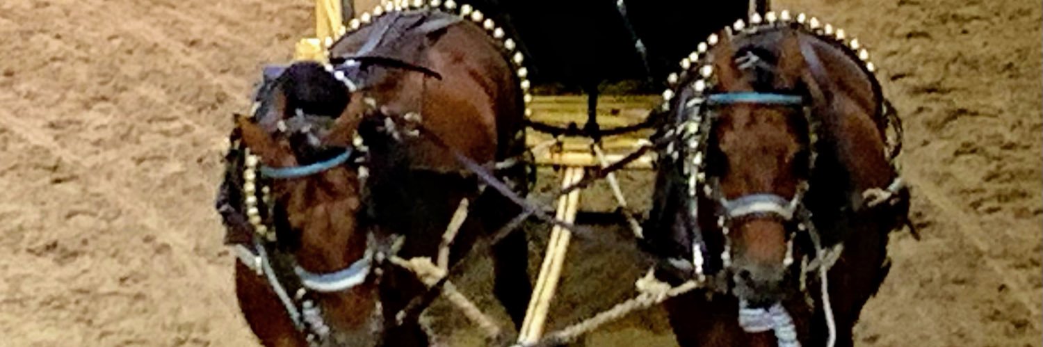 david_sio's profile banner image