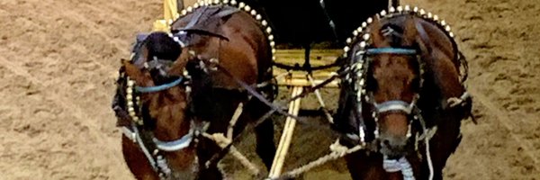 david_sio Profile Banner