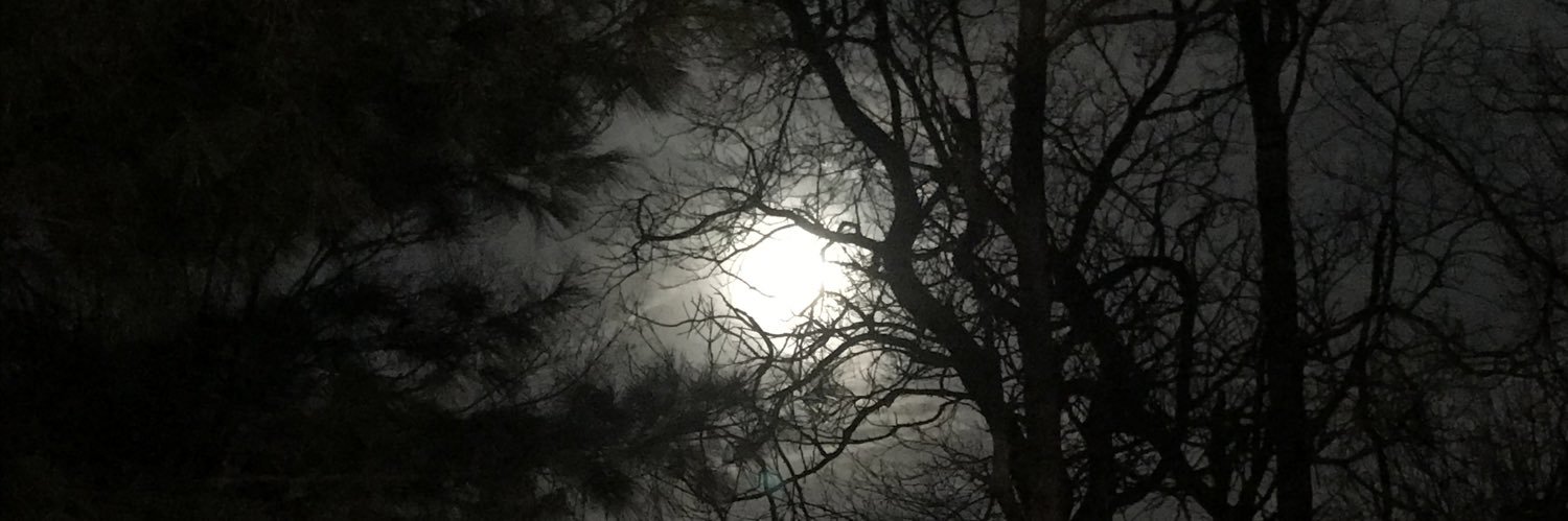thisbttcchh's profile banner image