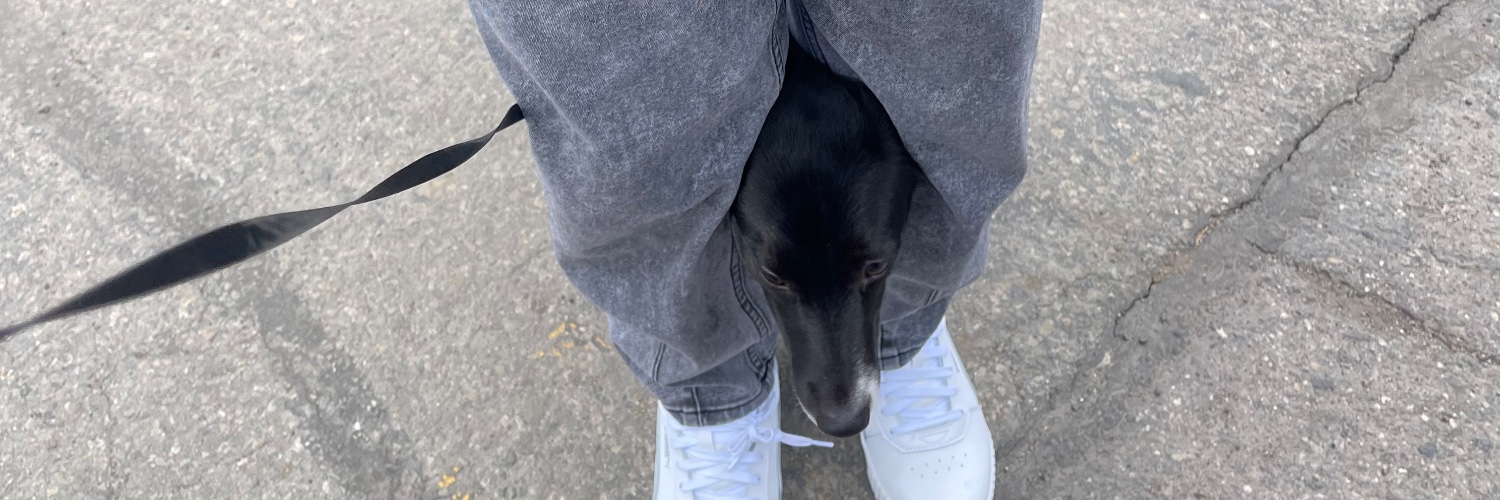 Confused_asiann's profile banner image