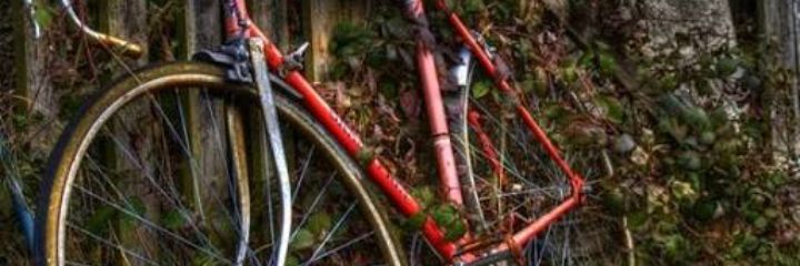bhrdll's profile banner image