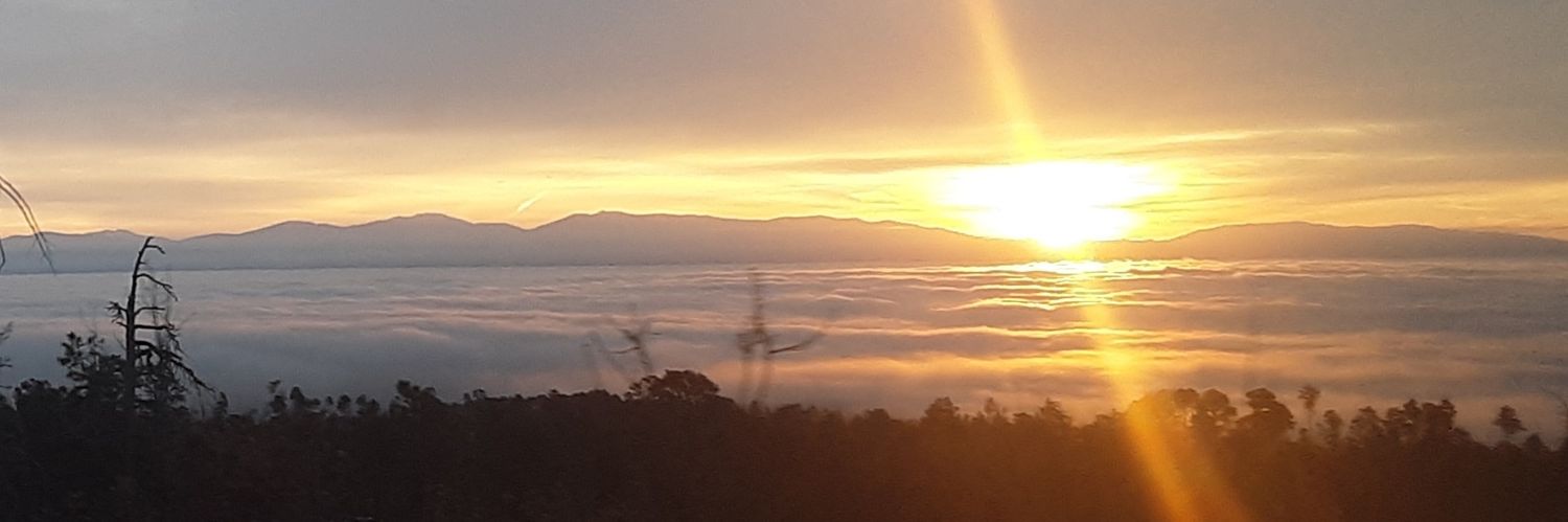 Sunbirdone's profile banner image