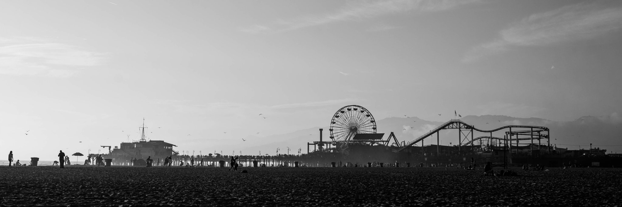 erronocampo's profile banner image