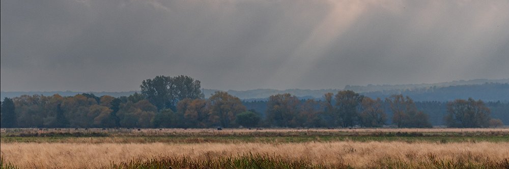 cavokstefan's profile banner image