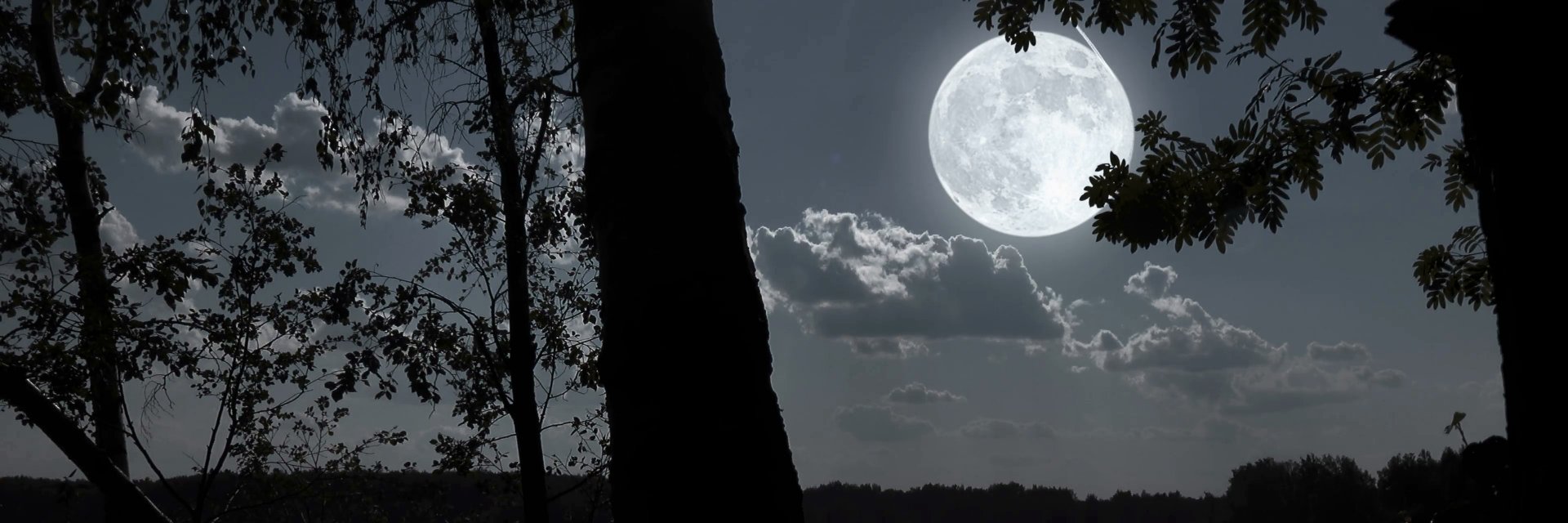 TaylorLarsenLit's profile banner image