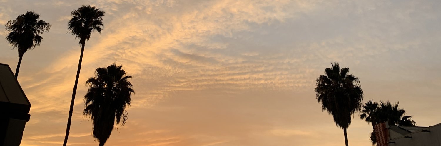 A1DLT's profile banner image