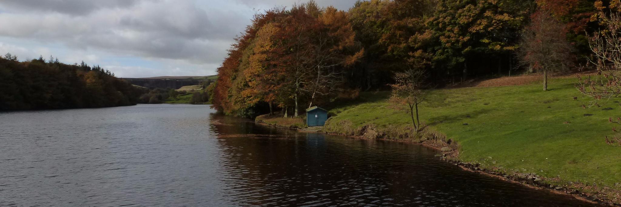 Hannah Thaxter banner