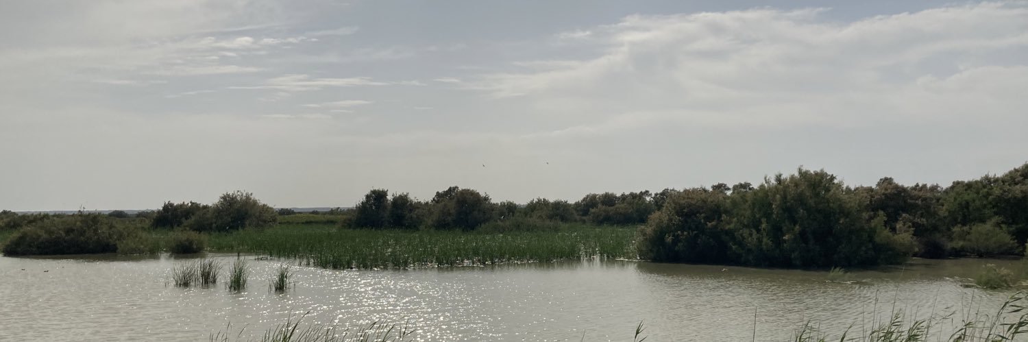 Good Stuff International banner