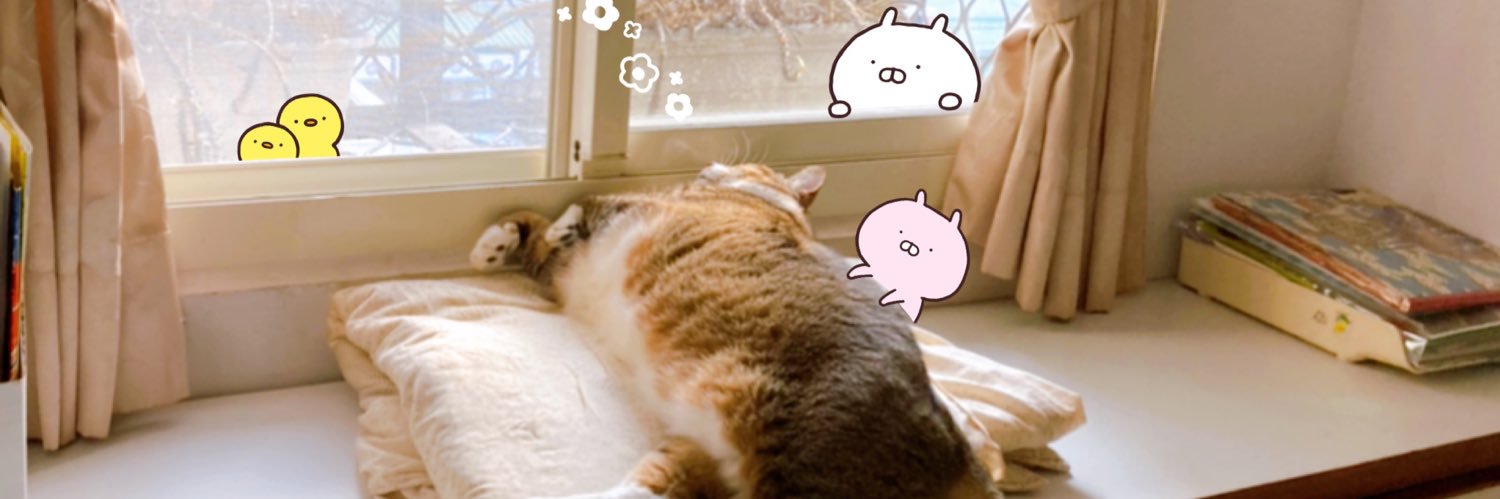 zoe840809's profile banner image
