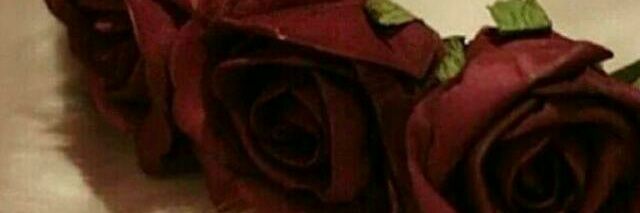 raghad774's profile banner image