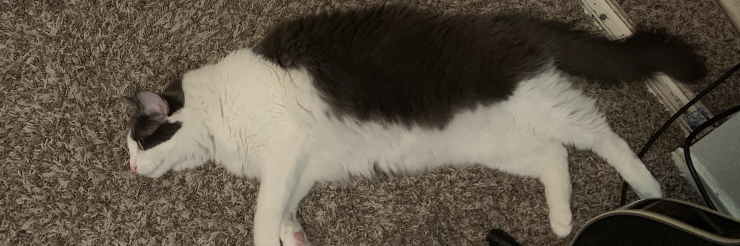 DrooSnooze's profile banner image
