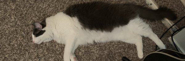 DrooSnooze Profile Banner