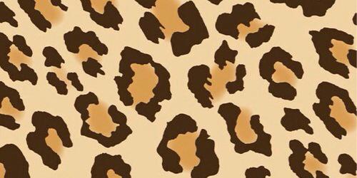 shonellenickers's profile banner image