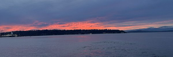 shineylime Profile Banner