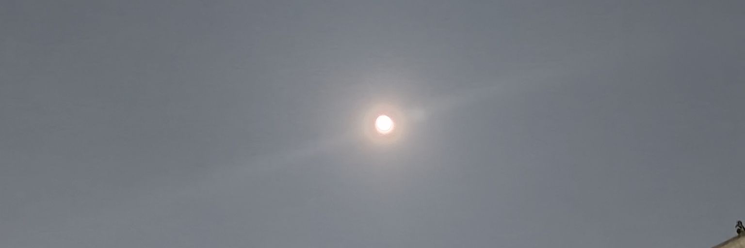 sohini123's profile banner image