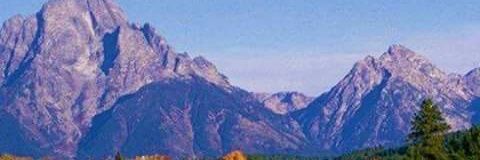 Amberlyn Lightner banner