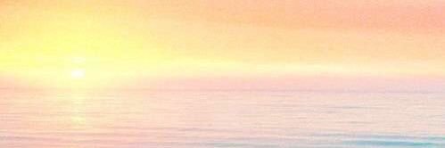 abii2905's profile banner image